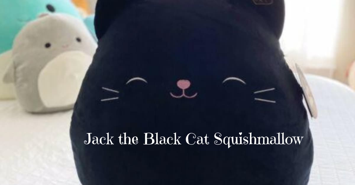 Jack the Black Cat Squishmallow
