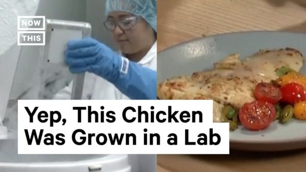 Lab-Grown Chicken: Pioneering a Sustainable and Ethical Food Revolution