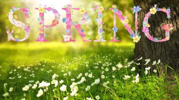 When Does Spring Begin? Characteristics of Spring?