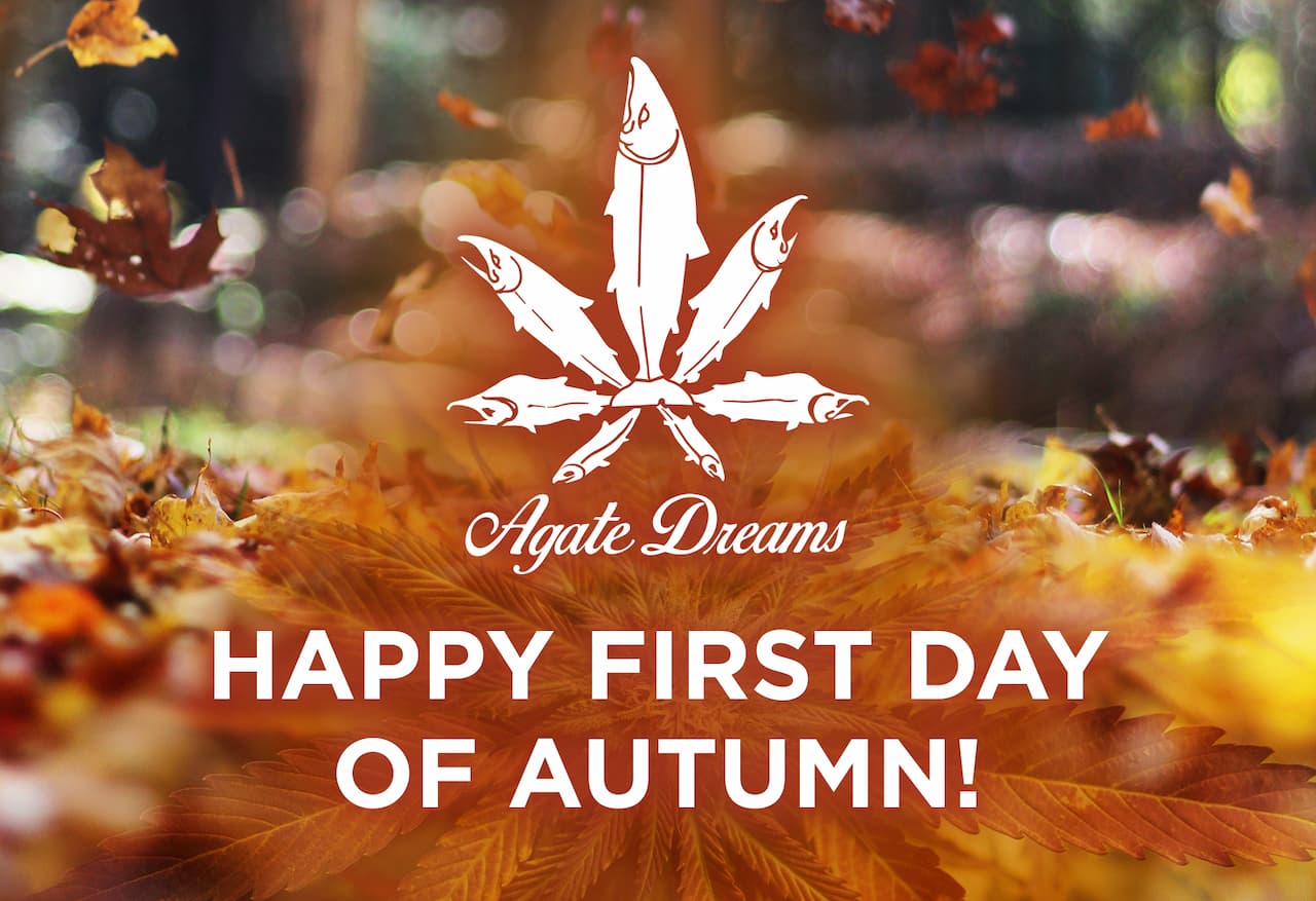 When is the first day of autumn