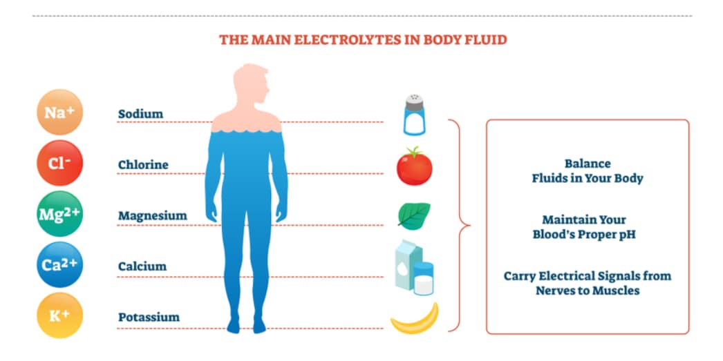 Hydration and Electrolyte Balance