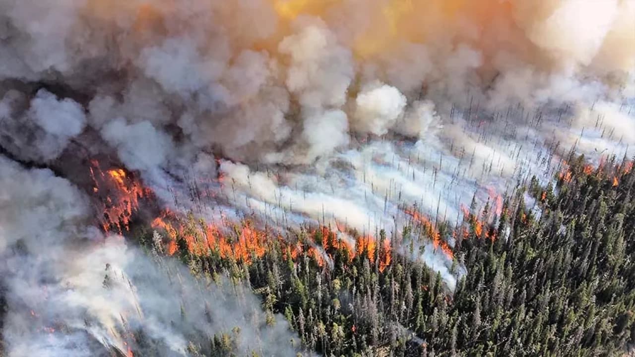 The Role of Canadian Wildfire Smoke