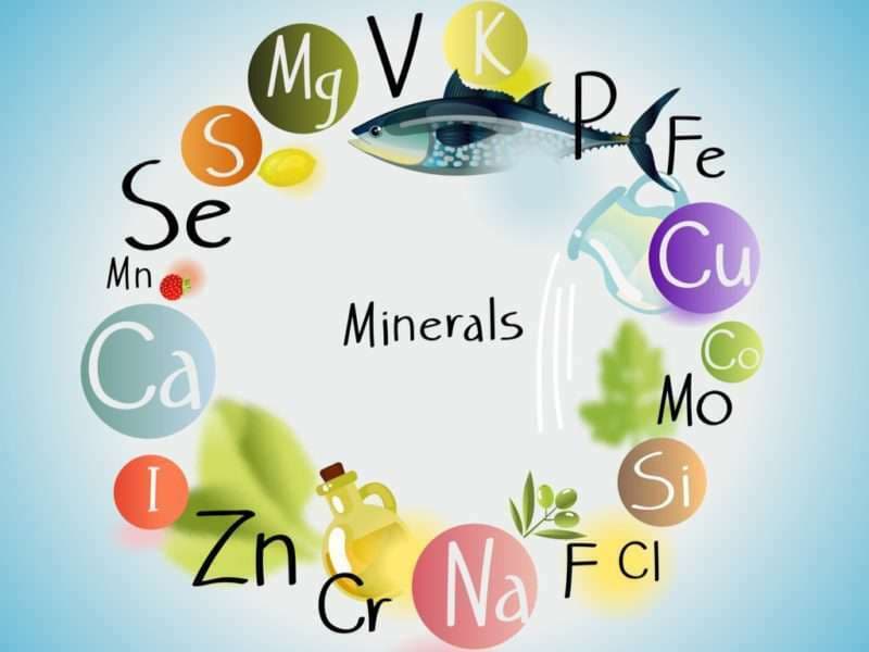 The Role of Trace Minerals in Water