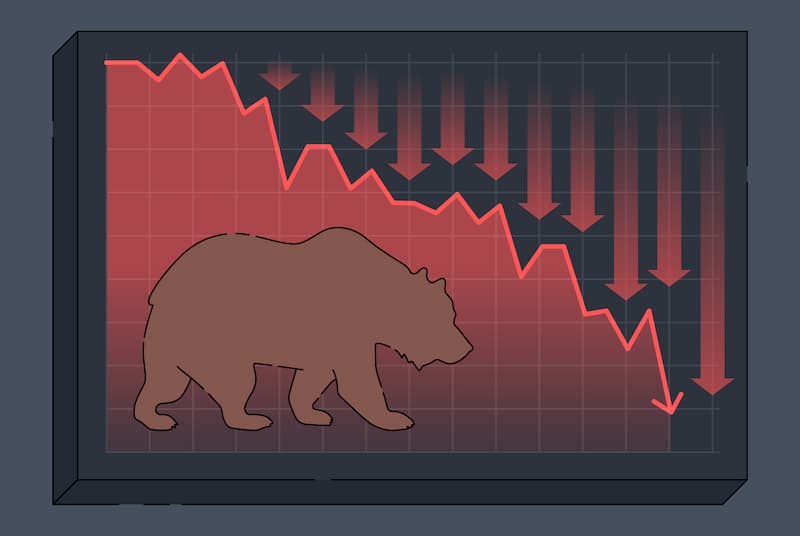 Bear Case: Growth Story Has Played Out