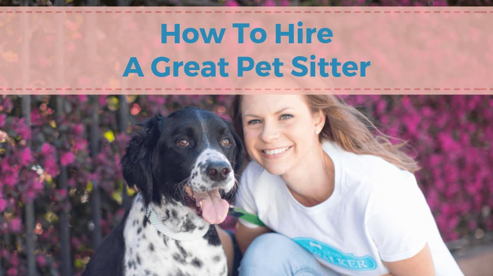 How to Hire a Dog Sitter?