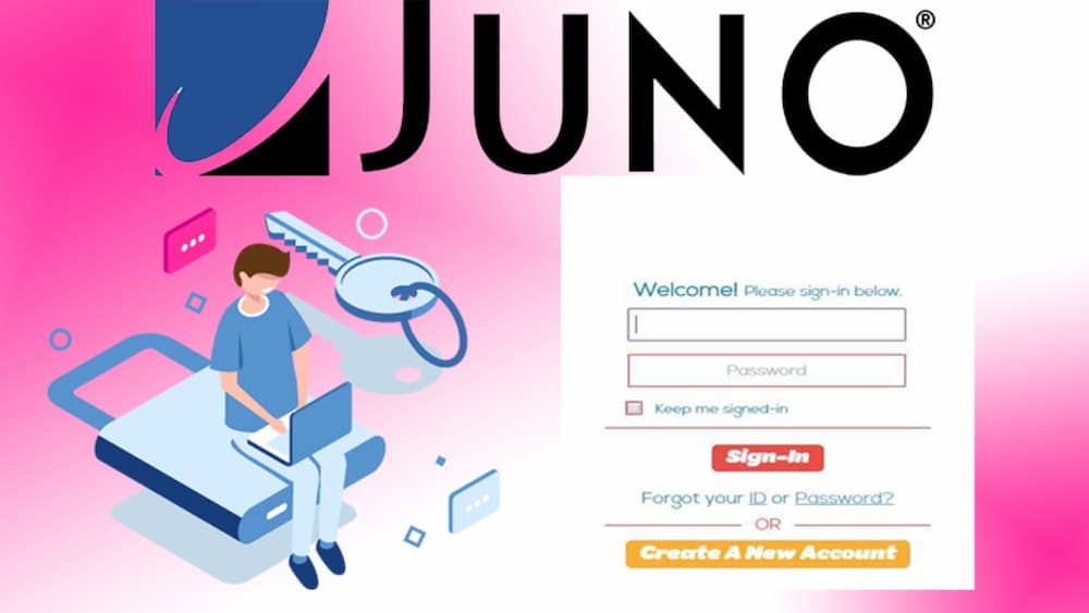 Things to Know About Juno Email