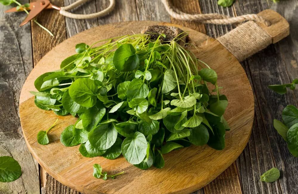 Benefits of Watercress for Healthy, Glowing Skin