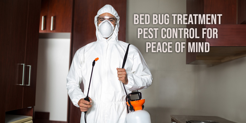 Bed Bug Treatment Pest Control for Peace of Mind