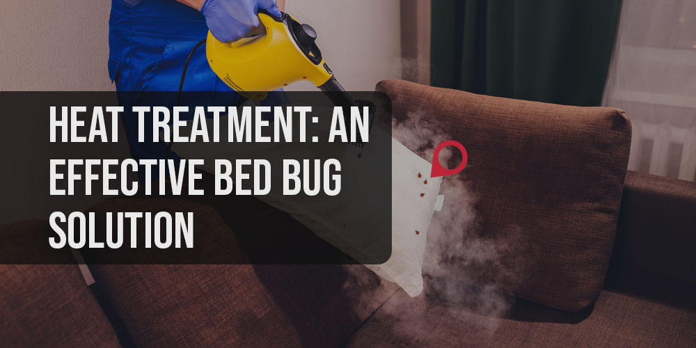 Heat Treatment- An Effective Bed Bug Solution
