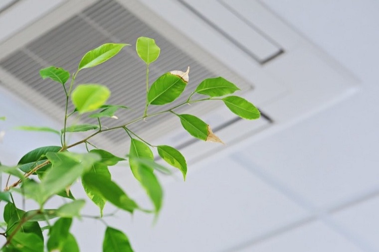 Improve Indoor Air Quality