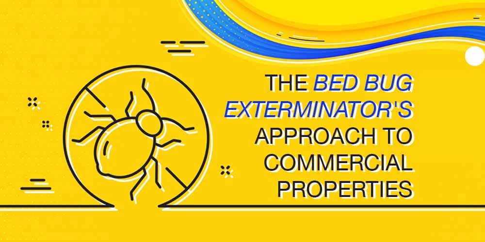 The Bed Bug Exterminator's Approach to Commercial Properties