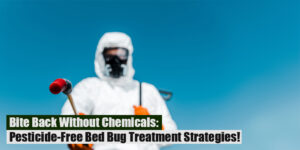 Bite Back Without Chemicals- Pesticide-Free Bed Bug Treatment Strategies!