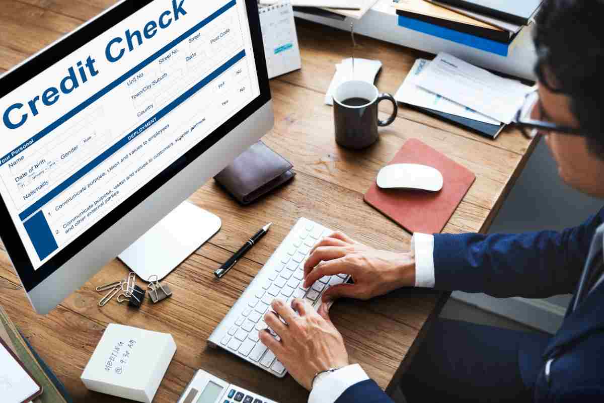 Experian credit report showing key details about credit health and payment history